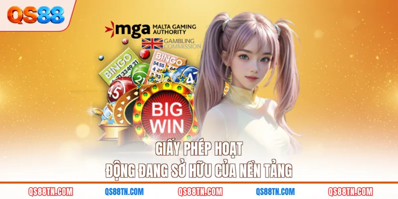 Giấy phép hoạt động đang sở hữu của nền tảng